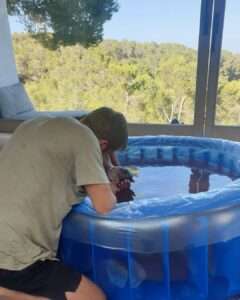 Calvin Harris celebra el nacimiento de su primer hijo en Ibiza
