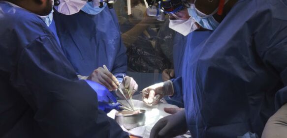 EEUU: Realizan 1er trasplante de corazón de cerdo a humano