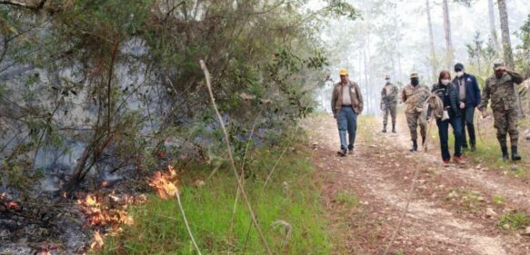 Medio Ambiente combate incendios forestales en Sierra de Bahoruco; investigarán manos criminales 