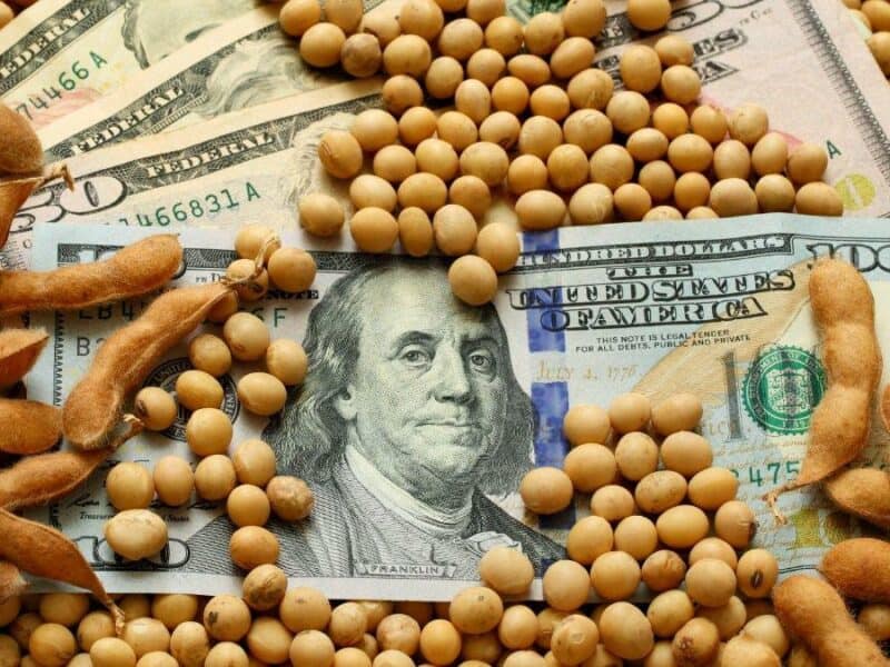 Ataque a Ucrania dispara el precio de las materias primas: vuelan la soja, el trigo y el maíz