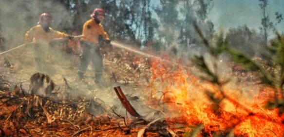 Alerta en Colombia por incendios forestales en la Amazonía y la Orinoquía