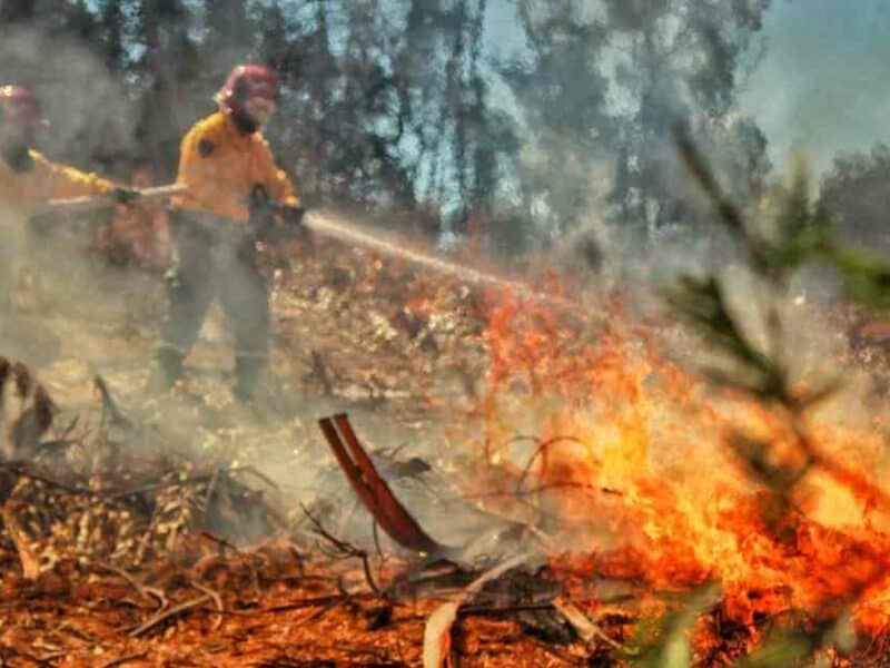 Alerta en Colombia por incendios forestales en la Amazonía y la Orinoquía