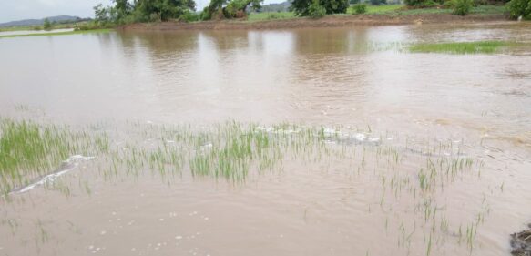 Director IAD envía comisión a Montecristi por daños de las inundaciones a sus asentamientos; hay 395 parcelas afectadas