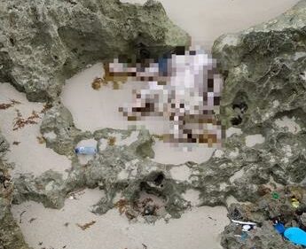 Encuentran cadáver de un general en la Playa Blanca de Pedernales