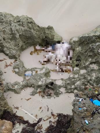 Encuentran cadáver de un general en la Playa Blanca de Pedernales