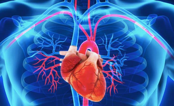 Prevención de la cardiotoxicidad en los pacientes oncológicos