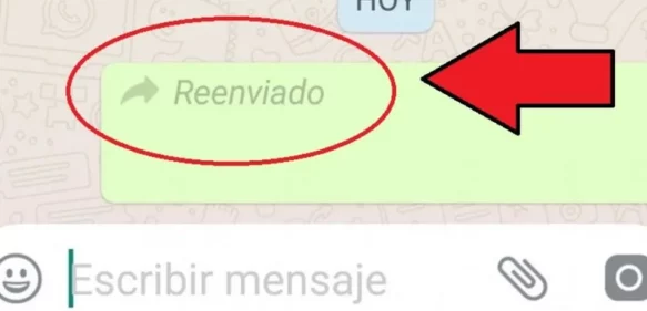 WhatsApp: cómo enviar un mensaje sin que aparezca la palabra “reenviado”