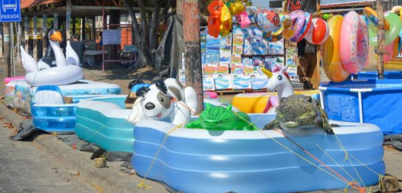Alcaldía del DN prohíbe uso de piscinas inflables durante Semana Santa