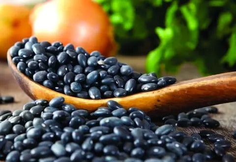Beneficios de las habichuelas negras; excelente componente para sana alimentación