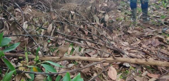 Matan hombre y lo entierran en comunidad de Copeyito del municipio de Río San Juan