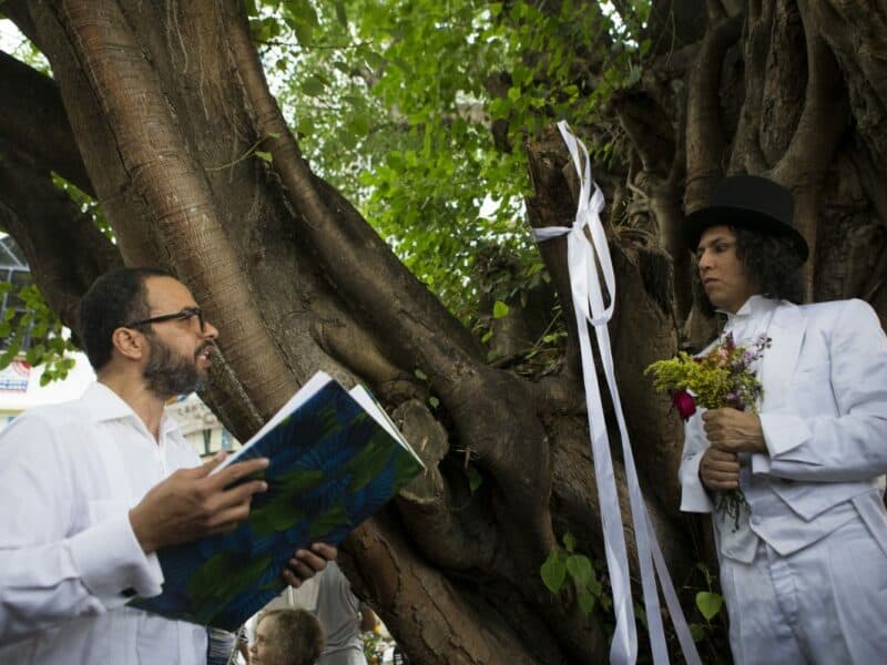 ¡Insólito! Actor peruano se casa con un árbol en Madrid