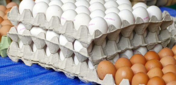 Gobierno dispone la venta de huevos a RD$3 pesos a través del Inespre
