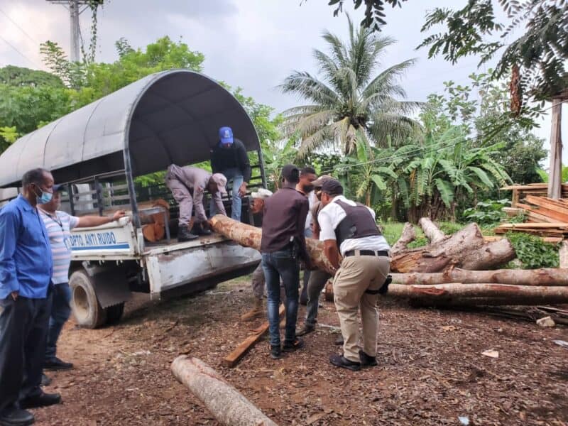 Procuraduría Ambiental allana aserraderos y ocupa caobas de las taladas por el director de Junta Distrital Palmarejo