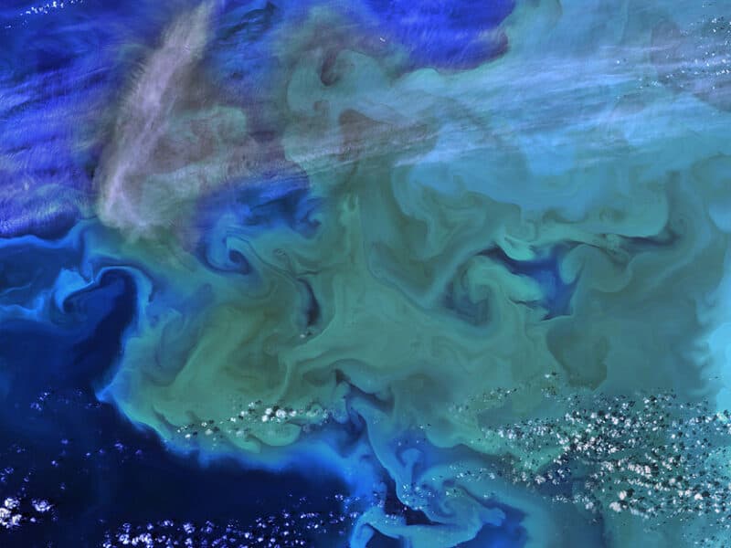 VIDEOS: NASA revela cómo ‘suenan’ las imágenes satelitales de mares y océanos de la Tierra