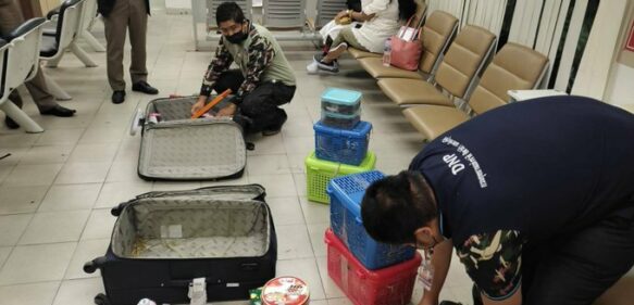 Dos mujeres son detenidas en un aeropuerto de Tailandia por intentar traficar con al menos 109 animales salvajes