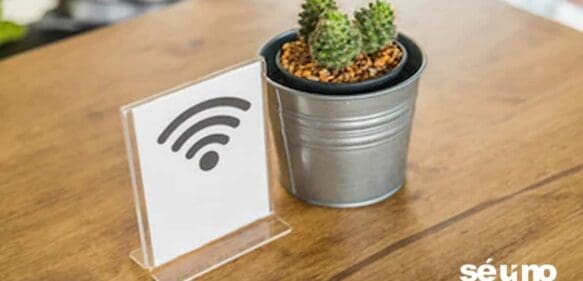 Descubren que los cactus pueden servir como antenas de wifi de banda ancha
