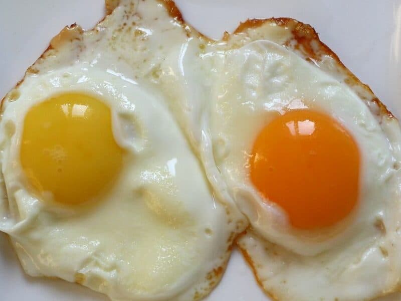 Estudio revela que el consumo de huevos reduce el riesgo de padecer de enfermedades cardiovasculares