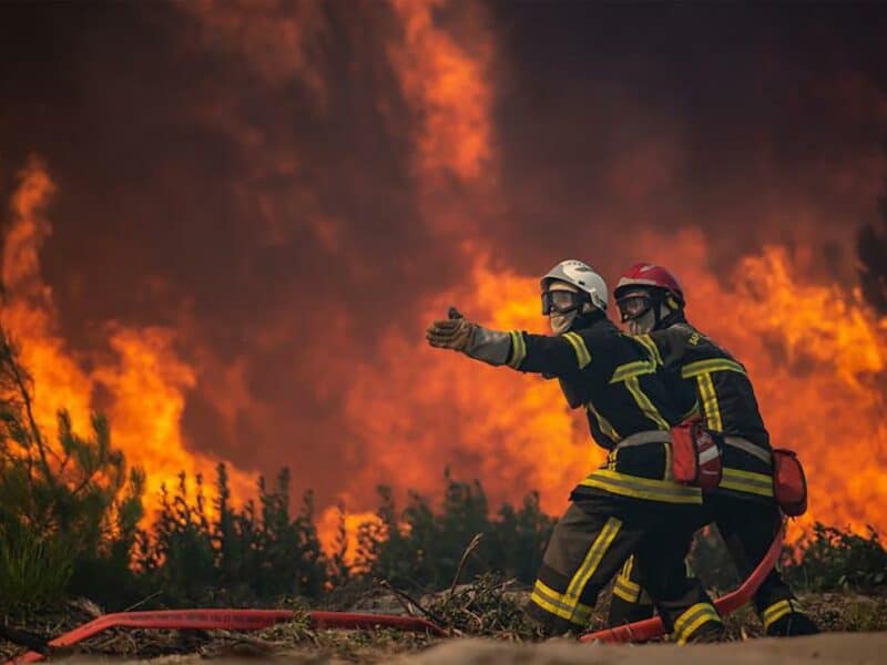Detienen a una persona por incendios forestales en Francia
