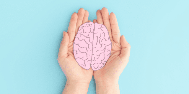 22 de julio: Día Mundial del Cerebro