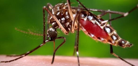 Hospital Robert Reid Cabral registra pocos casos de dengue