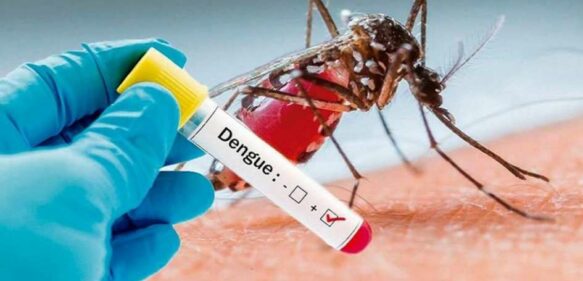 26 de Agosto Día Internacional contra el Dengue