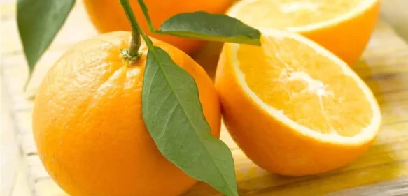 Cinco razones para incluir la naranja en tu dieta diaria