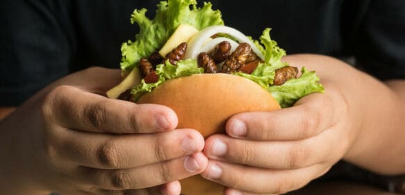 Un restaurante en Tailandia ofrece hamburguesas con grillos que no crujen
