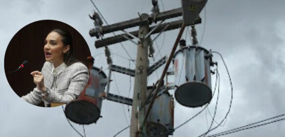 Diputada denuncia sectores de María Trinidad Sánchez tienen nueve días sin energía eléctrica
