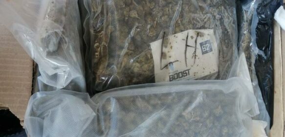 Ocupan 220 paquetes de marihuana en tanque llegó al puerto de Haina