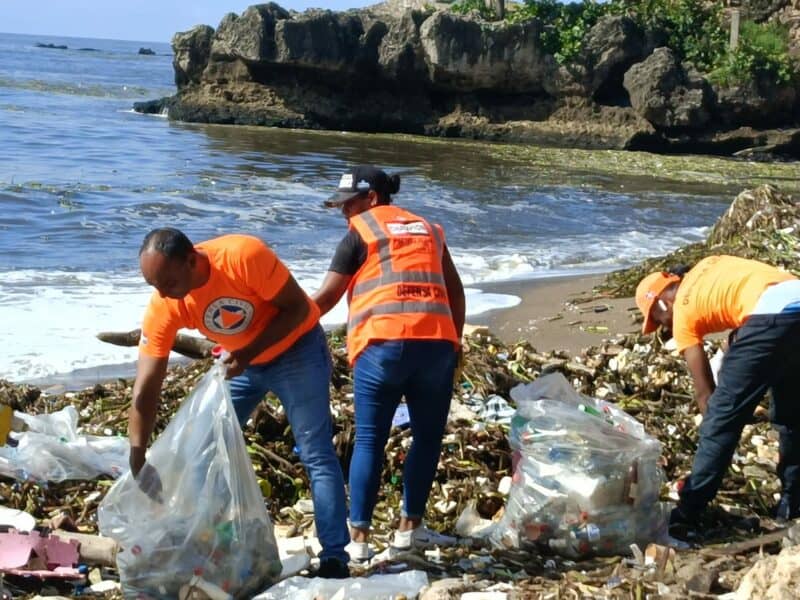 Defensa Civil realiza limpieza de costas en playas de la capital tras lluvias