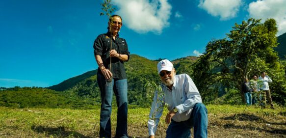 Medio Ambiente junto a Fundación Sur Futuro inician “Mes de la Reforestación”