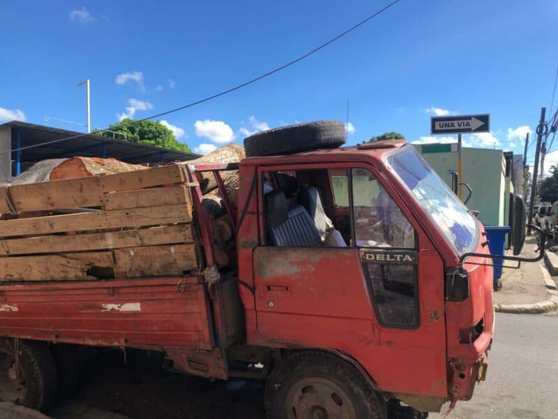 Imponen prisión preventiva por corte ilegal de árboles en Moca