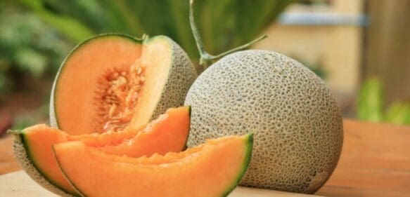 Consumir melón ayuda a prevenir el envejecimiento prematuro de la piel