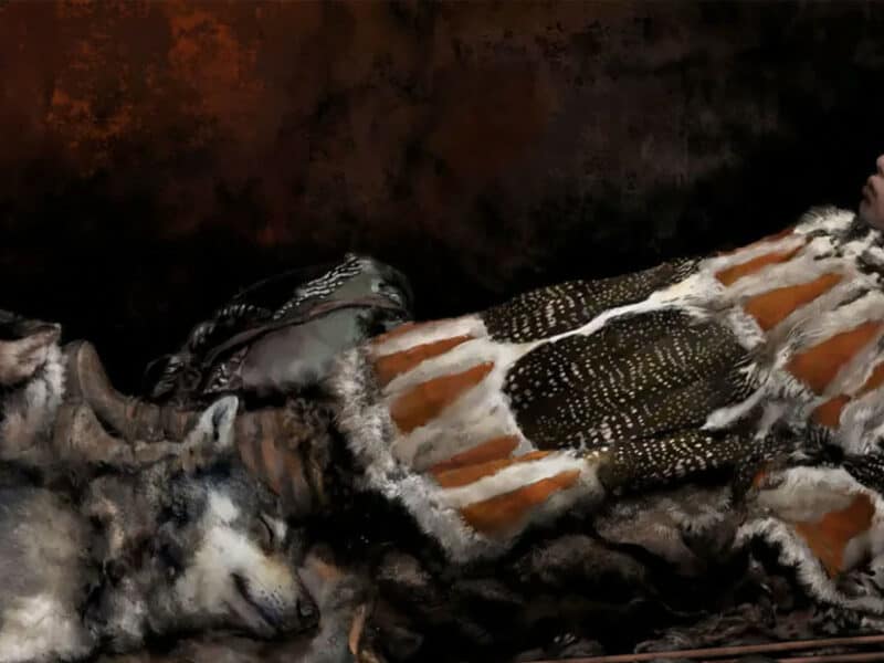 Descubren en Finlandia un “excepcional” entierro infantil de la Edad de Piedra