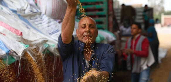 Egipto inaugura su bolsa de materias primas con venta de trigo ruso