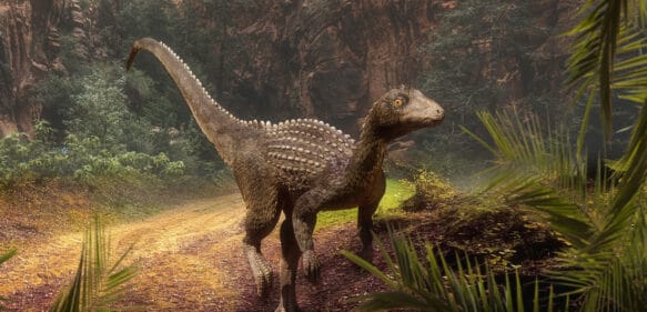 Descubren en Rumania una nueva especie de ‘dinosaurio enano’ con cabeza plana