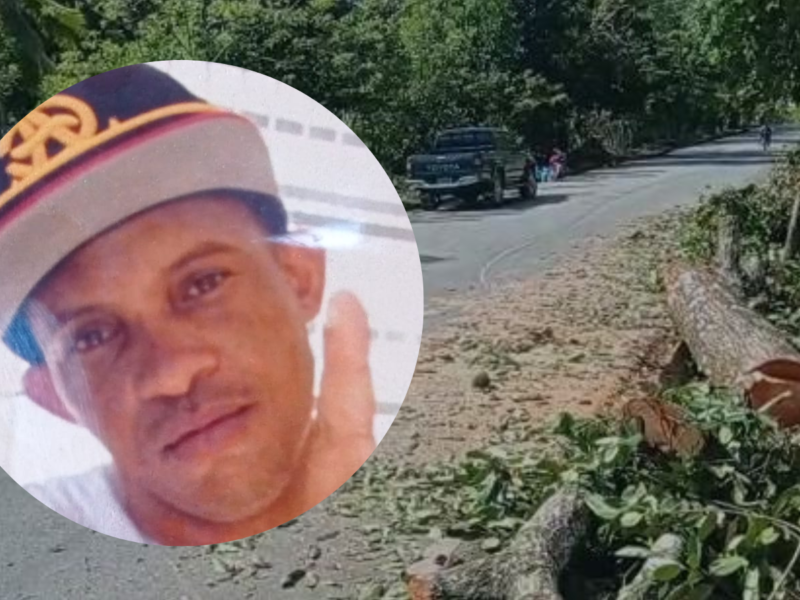Familiares de hombre muerto tras chocar con árbol derribado en Arroyo Al Medio piden justicia