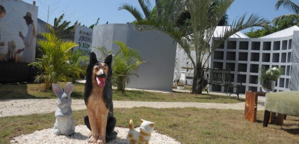 Abren primer cementerio de mascotas  en la región Norte