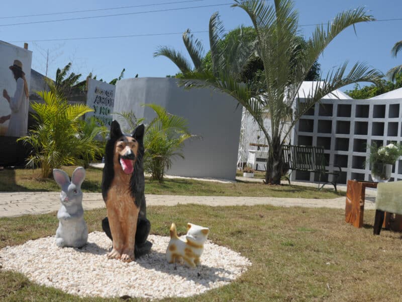 Abren primer cementerio de mascotas  en la región Norte