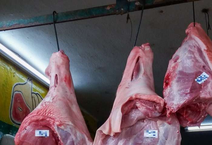 Productores aseguran, hay cerdos suficientes para las festividades; precio en las granjas no ha aumentado