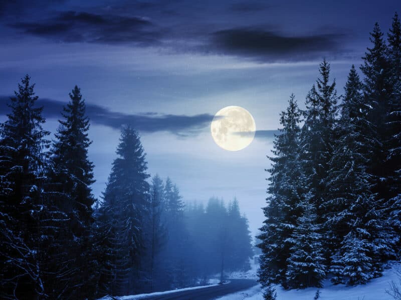 Cuándo y dónde se podrá observar la luna fría, el último evento astronómico de este año