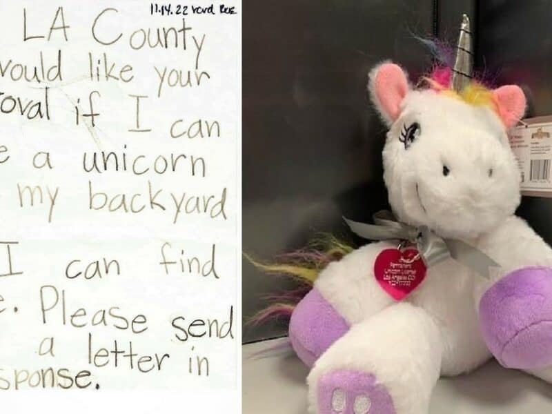 Una niña obtiene en EE.UU. permiso gubernamental para tener un unicornio en casa