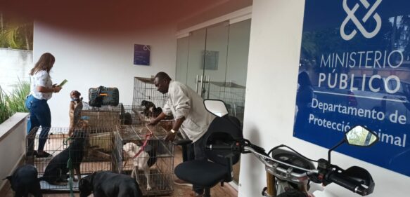 Proedemaren rescata del maltrato a 21 perros hacinados en casa de Arroyo Hondo
