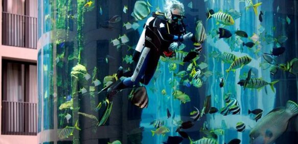 Explota acuario cilíndrico con 1,500 peces exóticos dentro