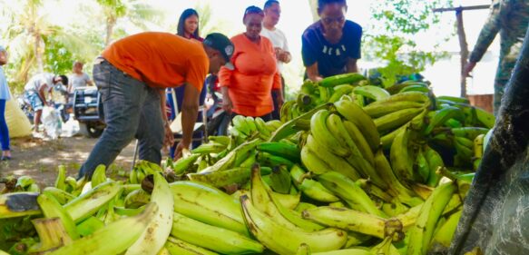 La Vega: director regional de Agricultura atribuye aumento del plátano a fenómenos atmosféricos