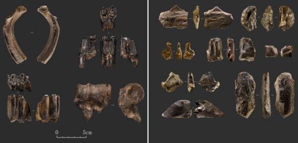 Hallan en China un yacimiento de la Edad de Piedra habitado por humanos hace más de 40.000 años