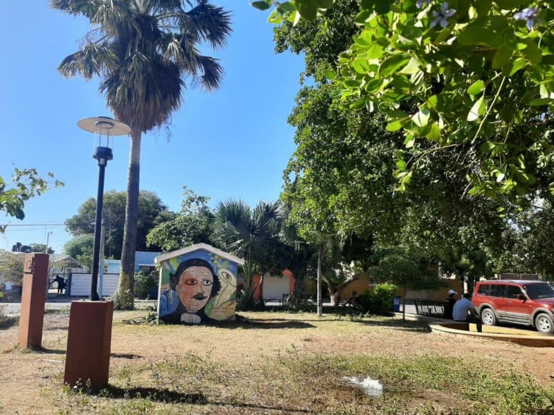 Piden corregir pintura distorsionada de Duarte en Pedernales