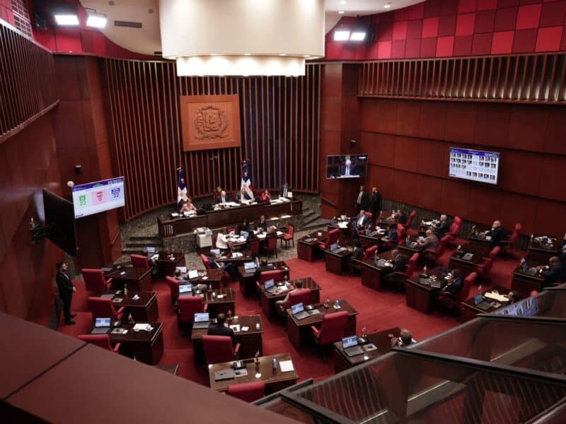 CIPAF califica como golpe a la institucionalidad reforma a la ley de régimen electoral aprobada por el Senado