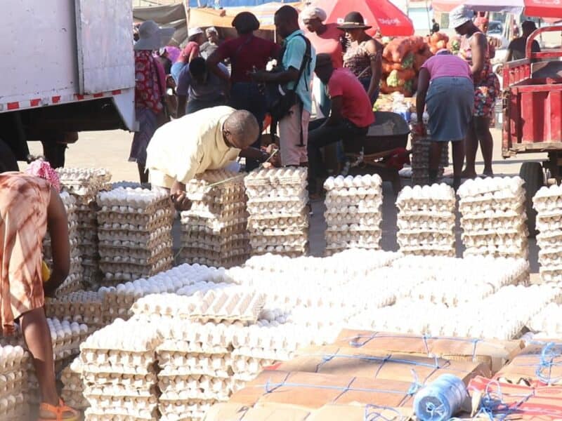 Comerciantes agilizan la venta de huevos antes de entrar en vigencia la medida que prohíbe la exportación hacia Haití