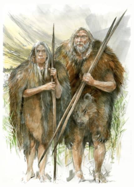 Los humanos llevan usando pieles de oso desde hace al menos 300,000 años
